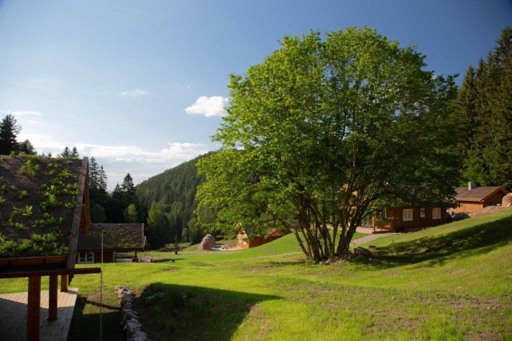 Villa Frydrysowka à Jaworek Extérieur photo